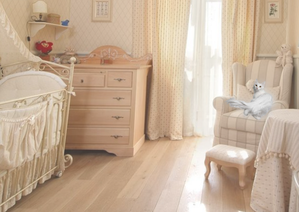 Принц Макс вполне освоился в новом доме. Источник фото: Яндекс Картинки