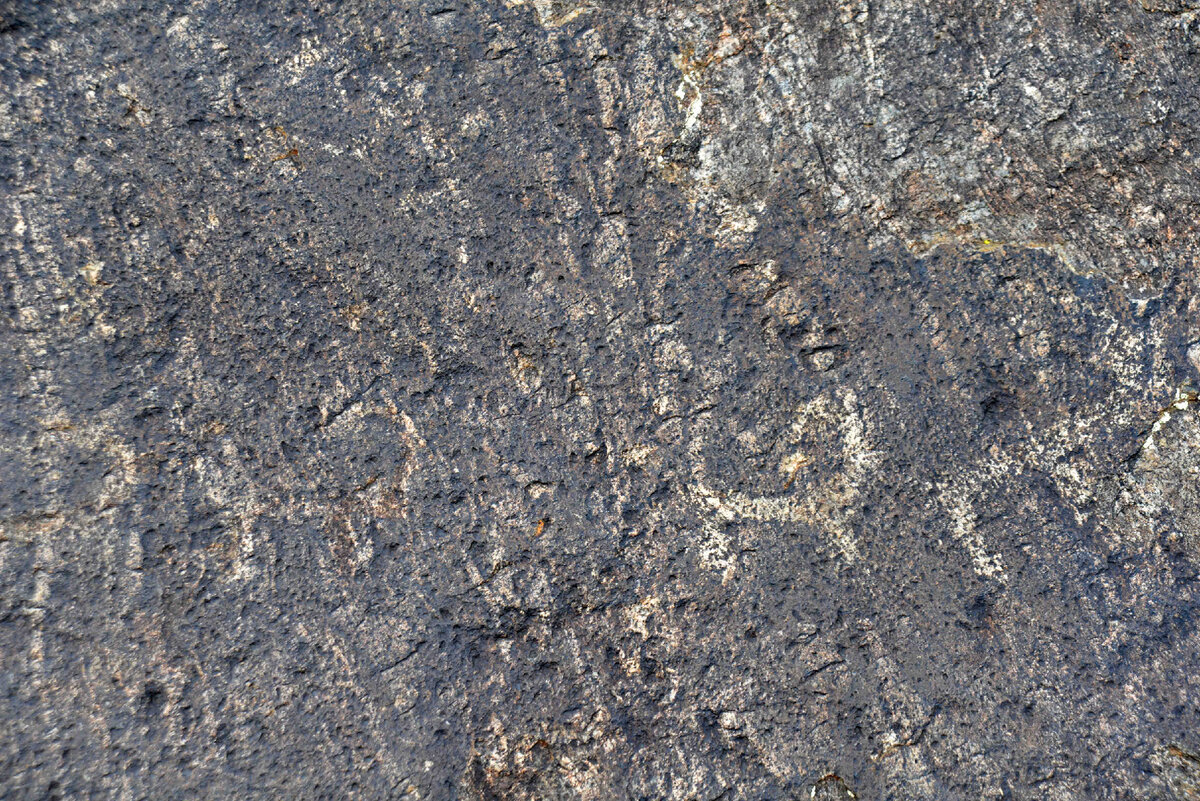 Фото Ольга Шадрина