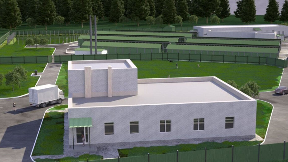   Автор фото: проект муниципального приюта для бездомных животных