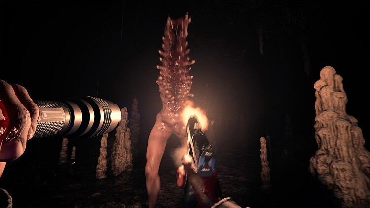  📷    Источник изображений: IGN