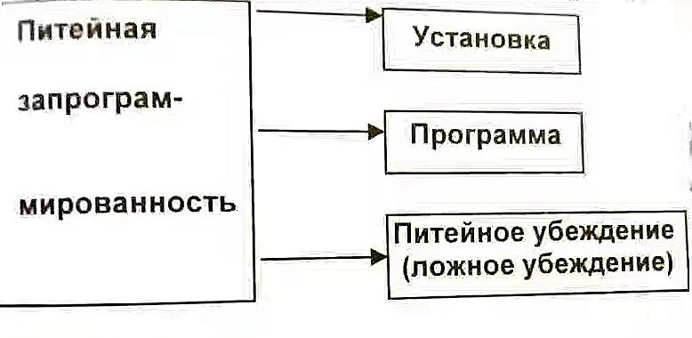 Преимущества метода Шичко