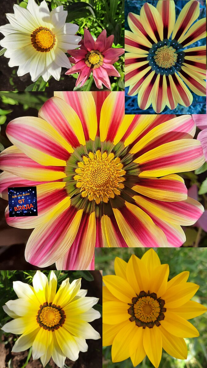 Подпишись на мой канал:@Всё обо всём от Влада.