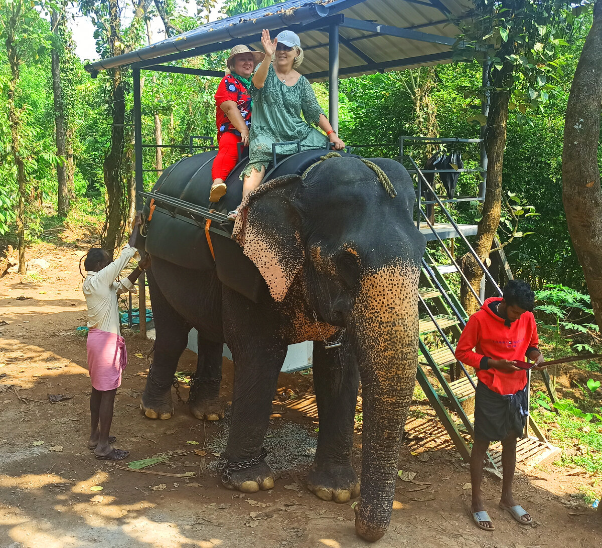 мести слон. раздача слонов. митхун 1981 я мой слон. мести слон. месть слона.