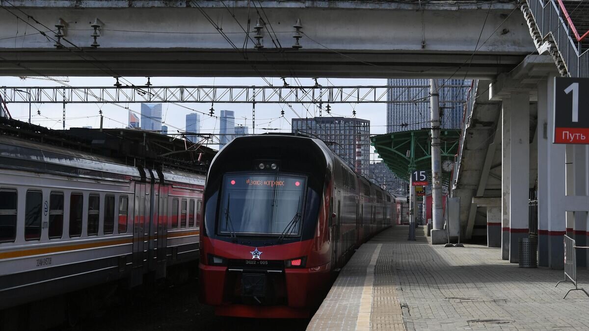    Поезд "Аэроэкспресс" в Москве© РИА Новости / Максим Блинов