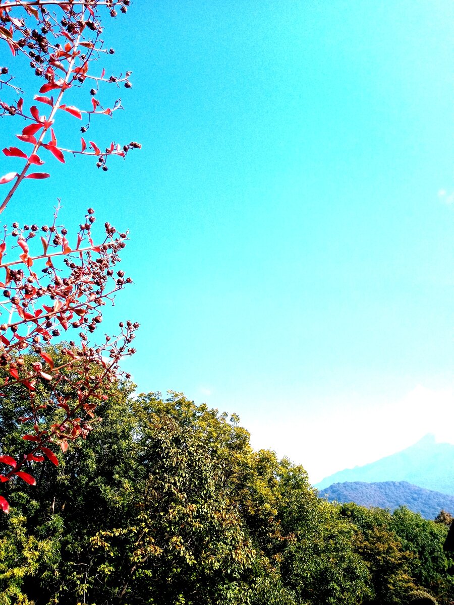 Из семейного архива