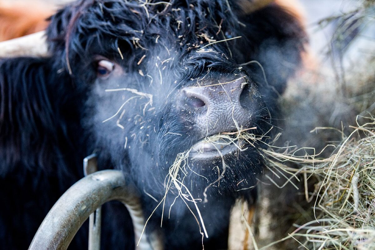   Фото: Istockphoto