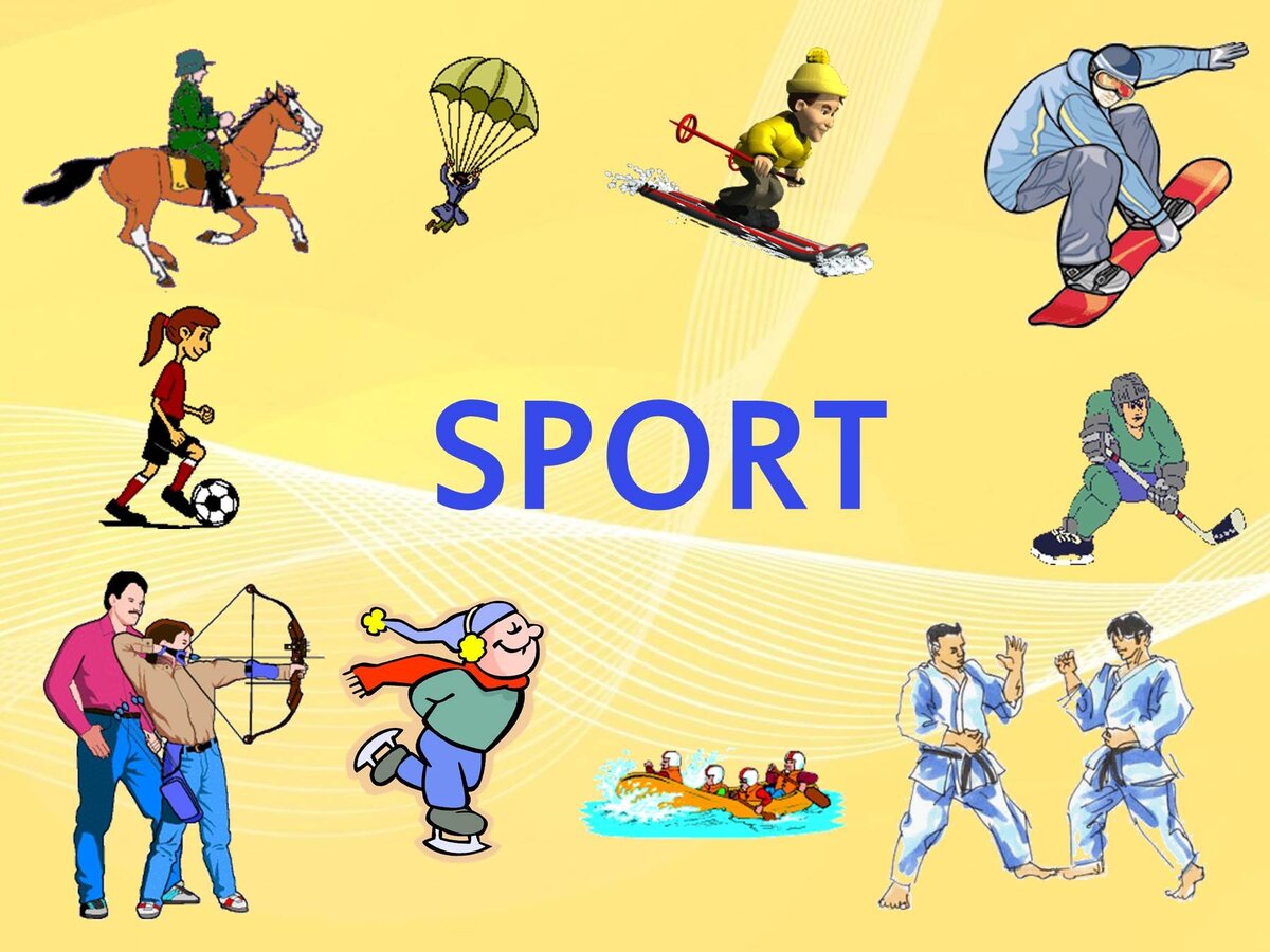 Проект sports club