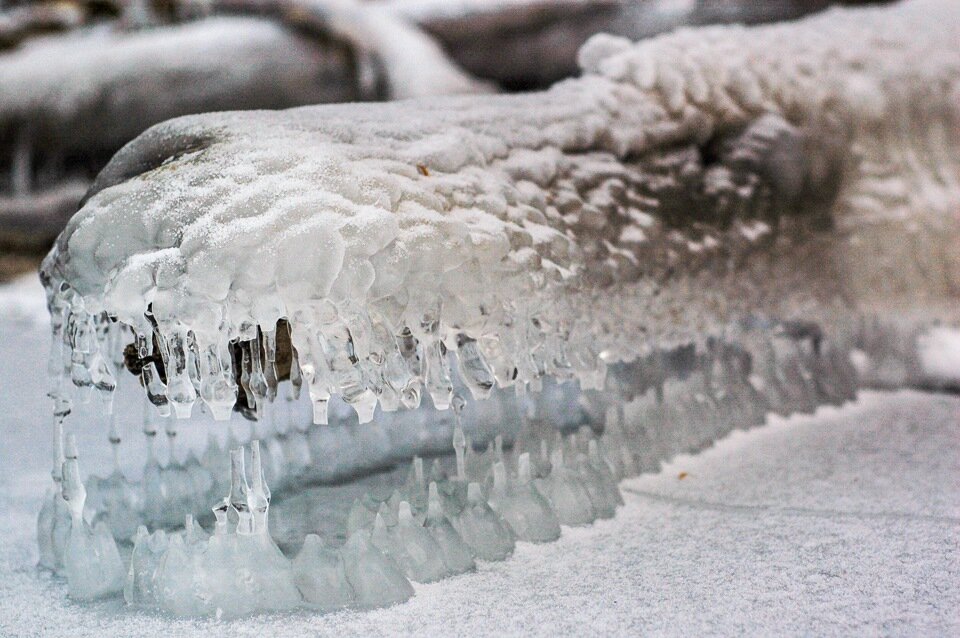 Читается сходство?