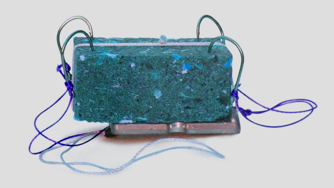 Глава V. Любительское рыболовство