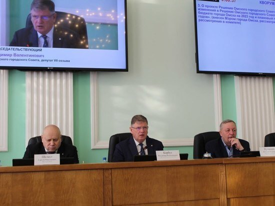     Фото: телеграм-канал Горсовета Омска