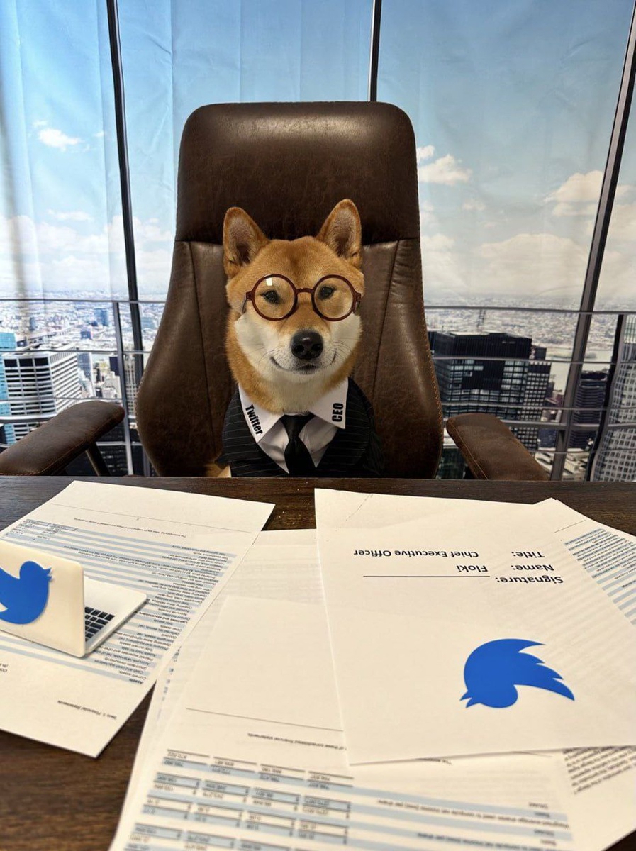 The new CEO of Twitter* is amazing 