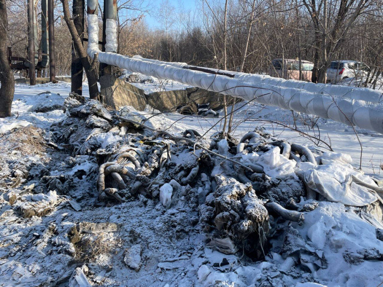 Фото: Татьяна Пестерева, пресс-служба губернатора и правительства Хабаровского края