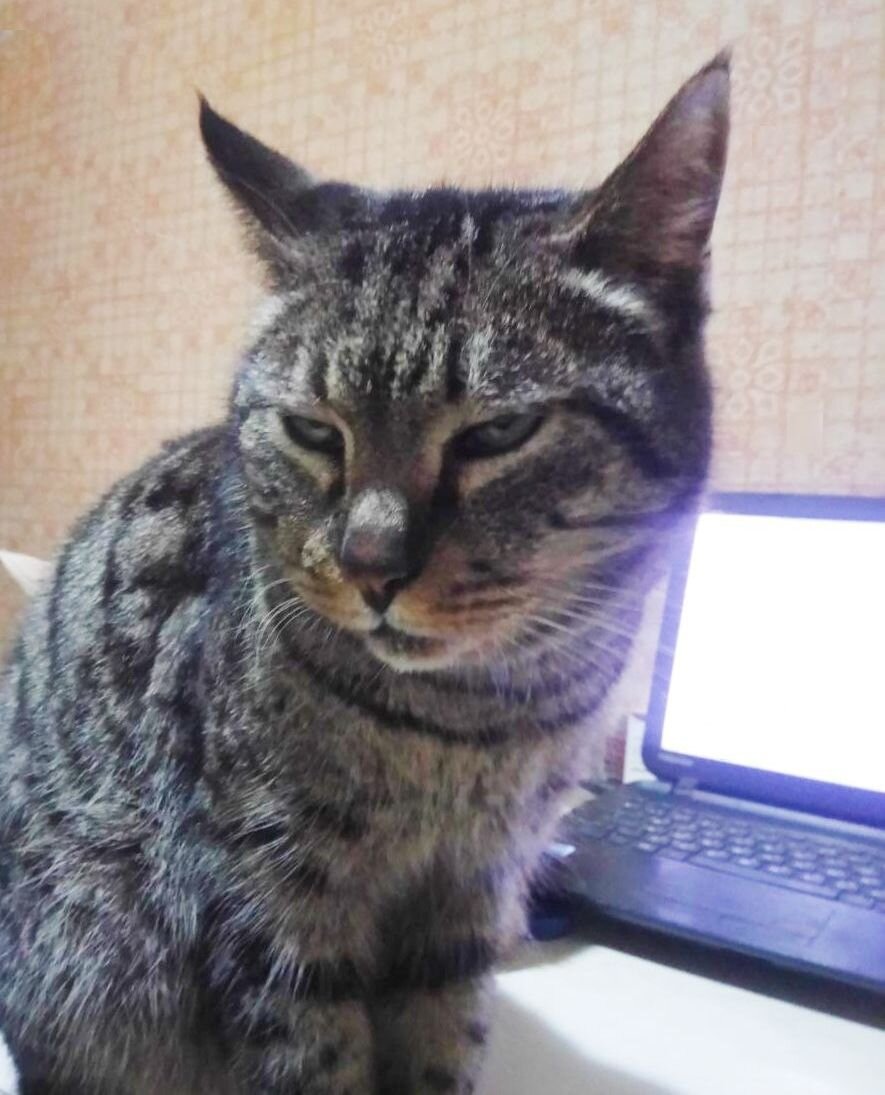 "Ой, поначитаются там в своих интернетах!" - как бы говорит нам Витёк