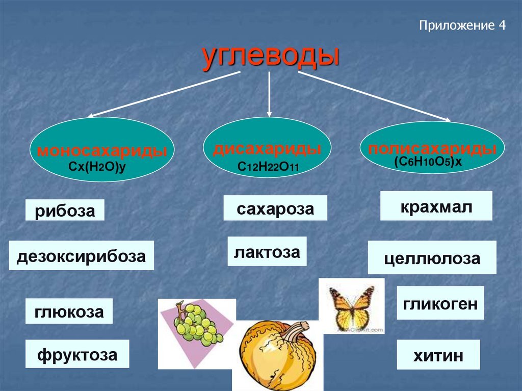 План урока по биологии 9 класс