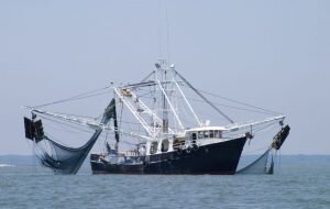    Фото: ru.pinterest.com Святослав Лавренко