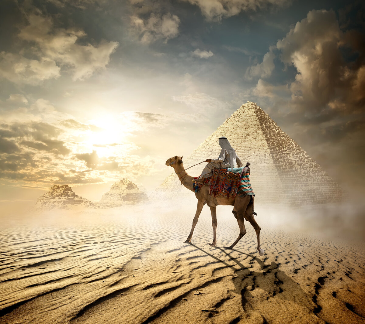 Верблюд в пустыне. Бедуин на верблюде. Верблюд на фоне пирамид. Египет пустыня Верблюды.