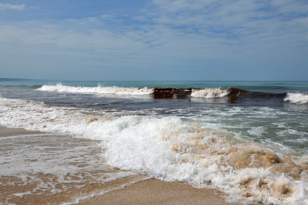 Каспийское море, залив Кендерли.