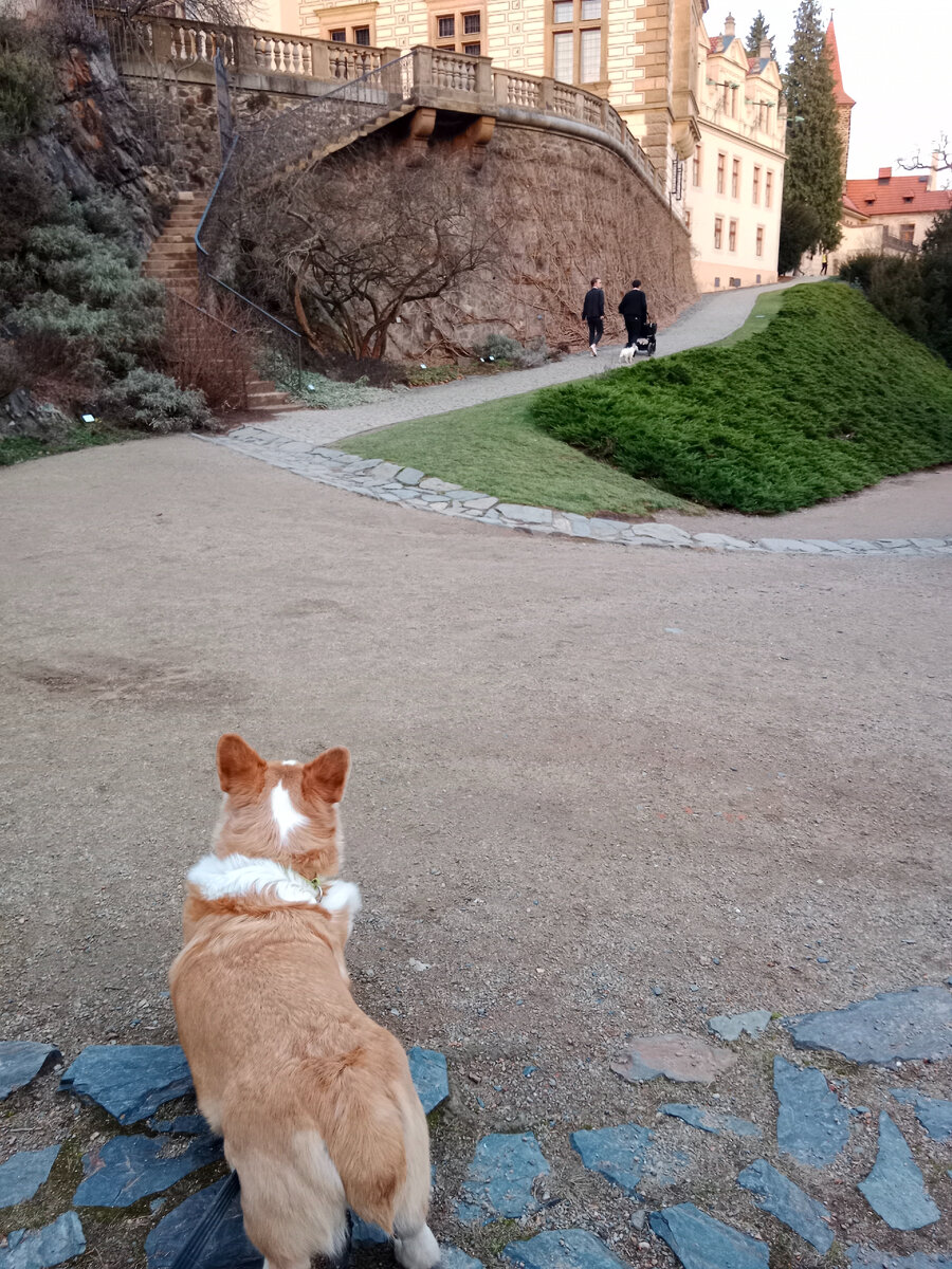 Фото из личного архива 