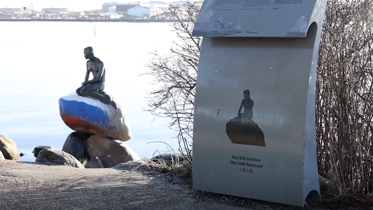 Памятник в Копенгагене.  фото: картинки яндекса.