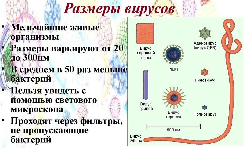 Клетка паразита