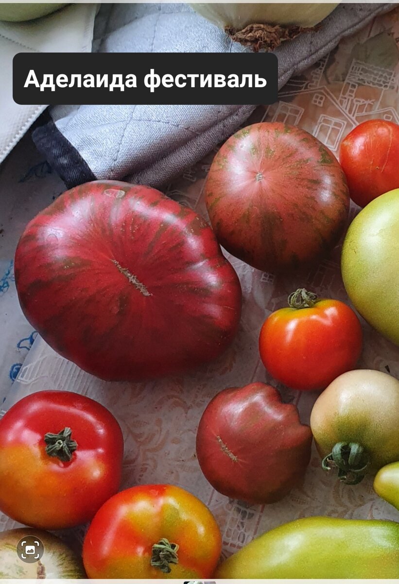 Фото из личного архива