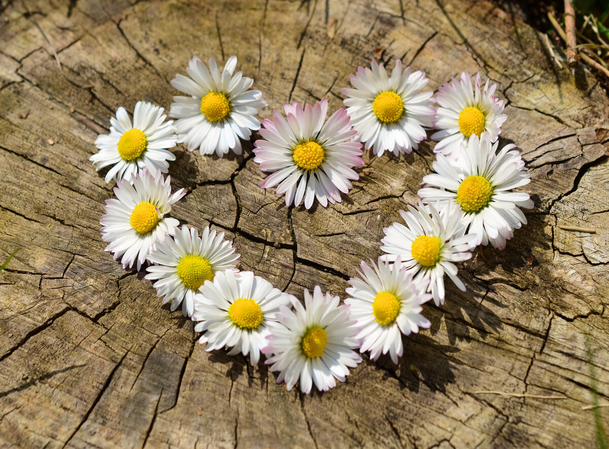 Pixabay