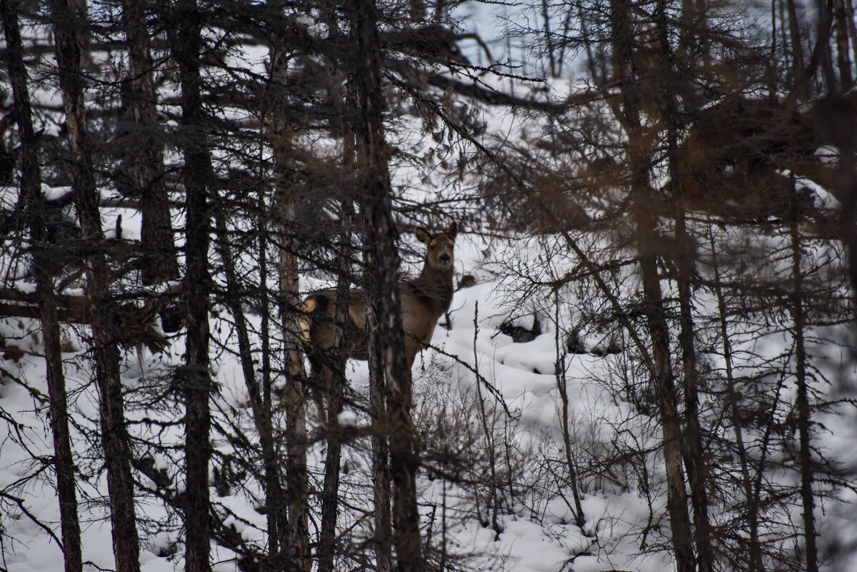 Страшно, но интересно >>>