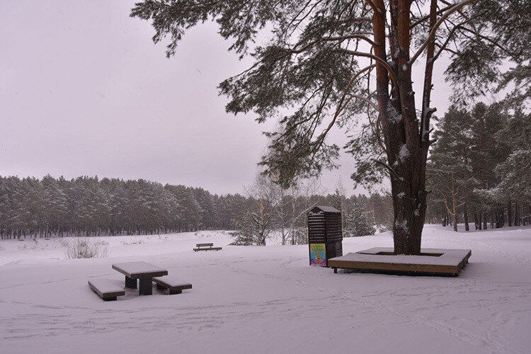   Парк «Прибрежный» — самая большая зеленая зона в Набережных Челнах и один из самых больших парков в Татарстане. Его площадь — 324 гектара Фото: Олег Спиридонов