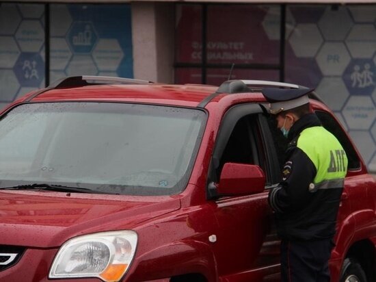     Фото: ГИБДД Марий Эл