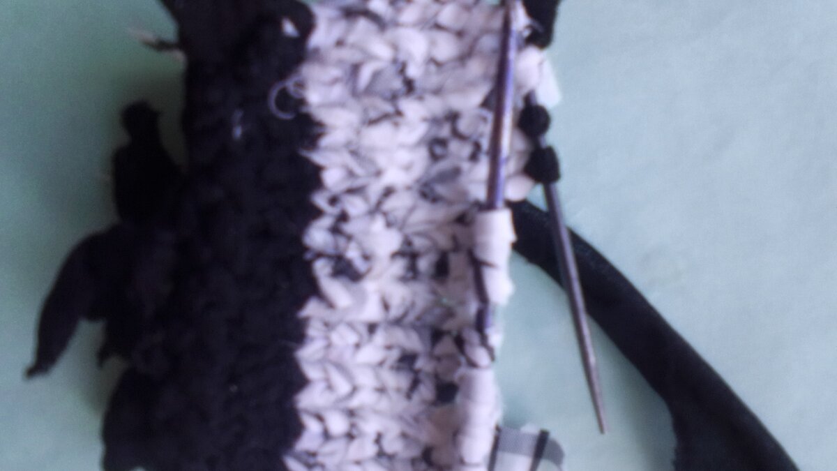 Фото сила - в знаниях