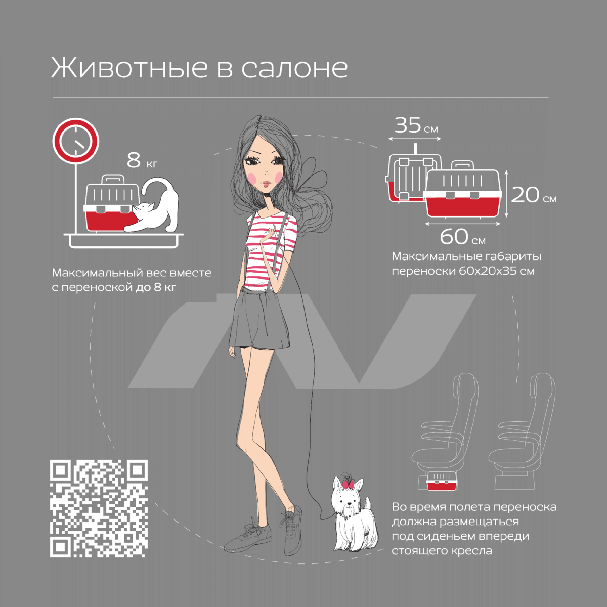 Нордвин ручная кладь размер 2024. Nordwind ручная кладь. Nordwind ручная кладь габариты