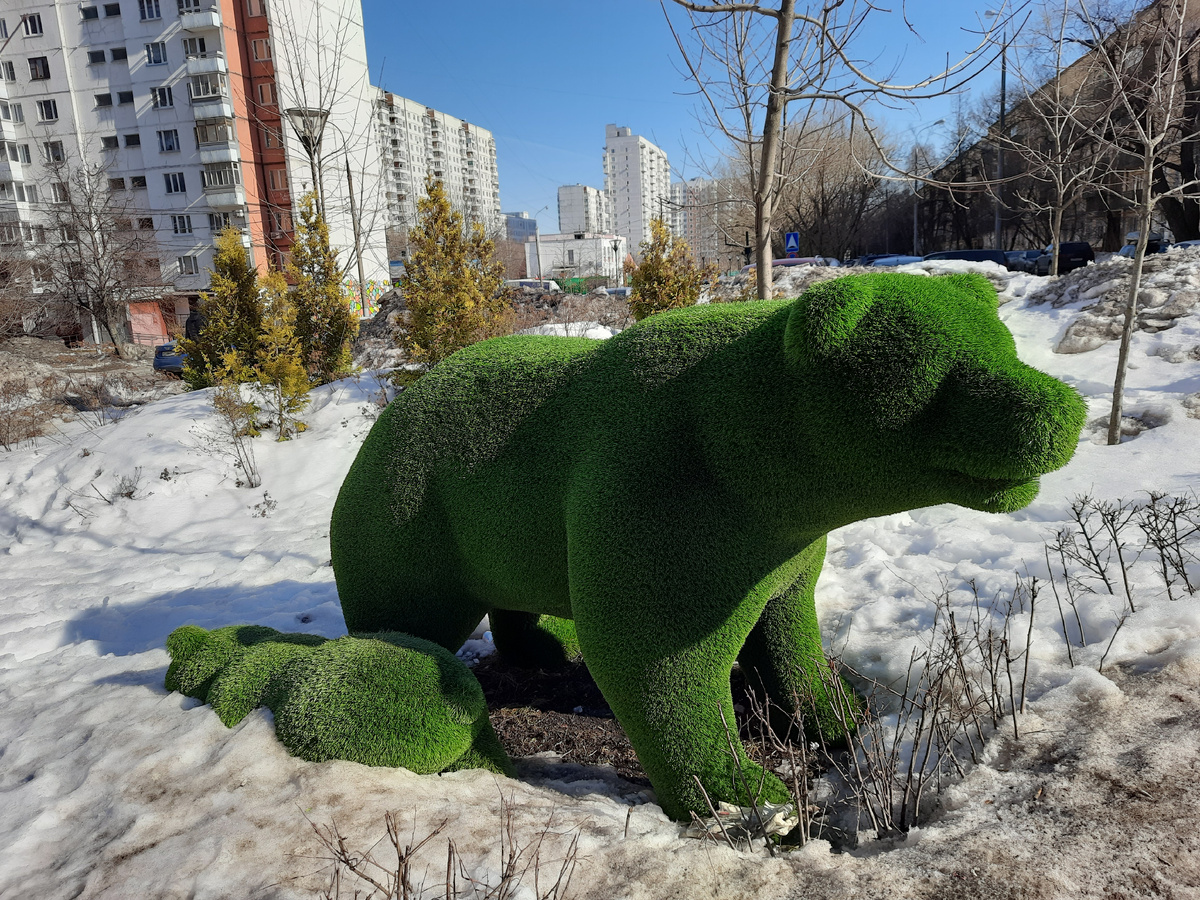 Зелёные медведи покинули берлоги