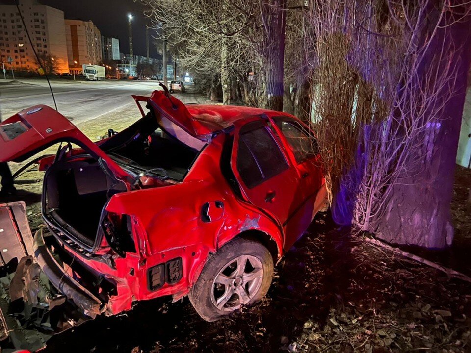     Фото с сайта ГУ МВД по Воронежской области  Предоставлено