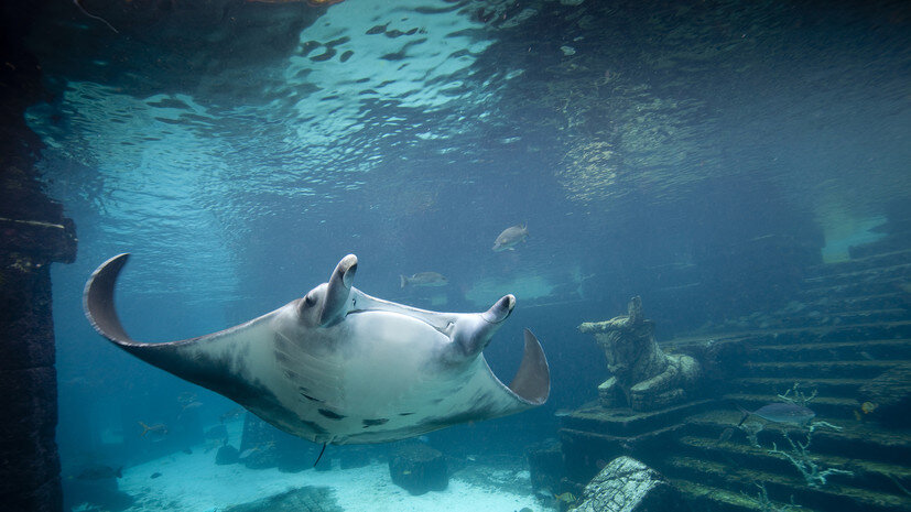   Gettyimages.ru