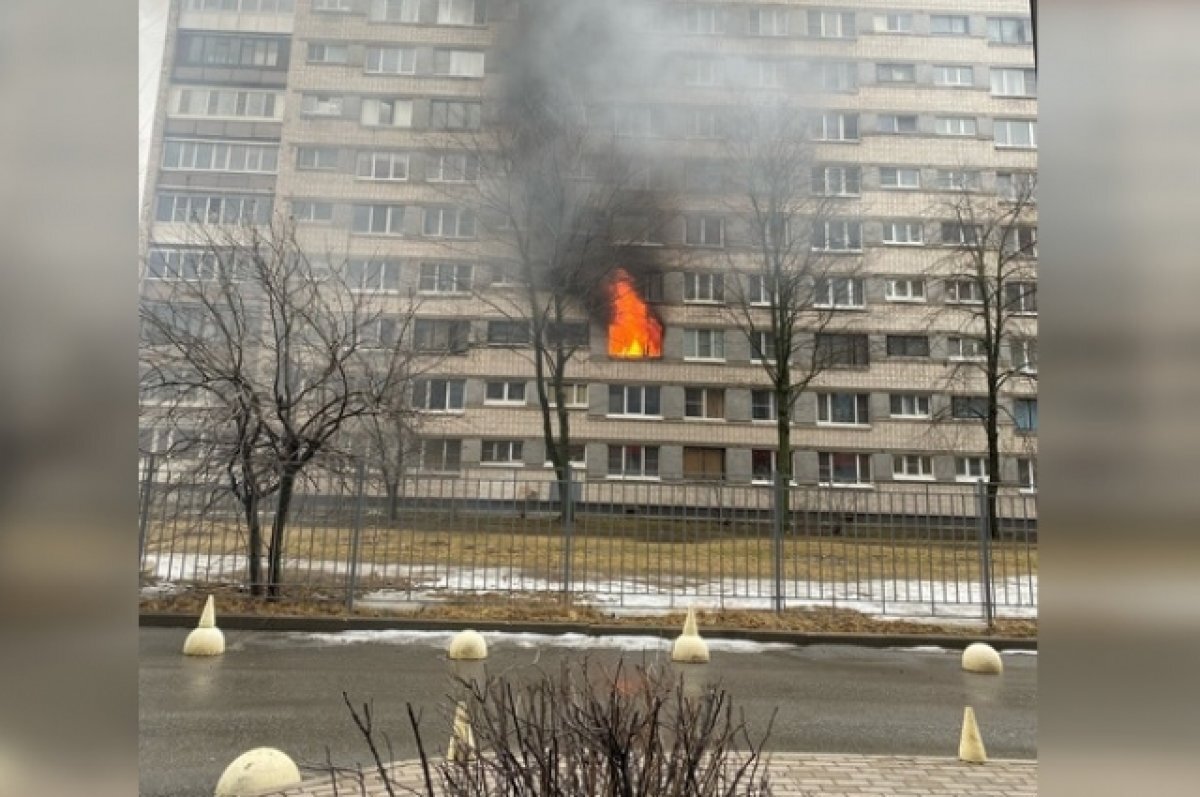    Четыре пожарных расчета тушили квартиру на улице Костюшко в Петербурге