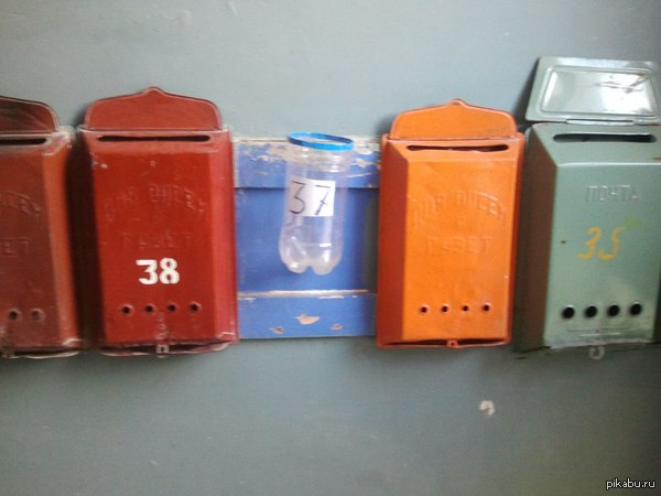 Фото из интернета