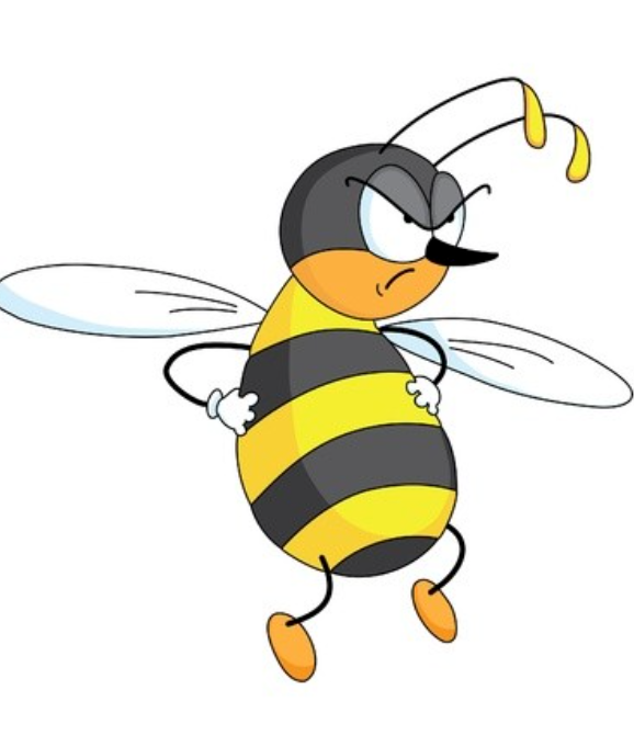 Пчела. Фото яндекс картинки