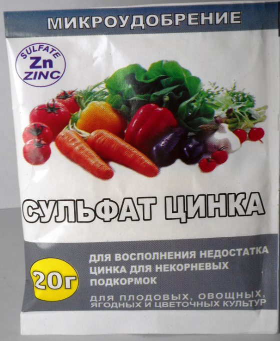 Фотография взята из источника semenauspeha.ru