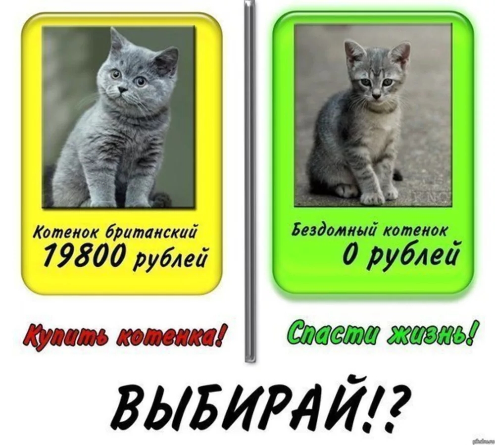 https://i0.u-mama.ru/84e/085/d2e/1hi6MIKFk8hI.jpg