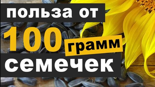 Чем полезны семечки подсолнечника и в чем опасность этого продукта