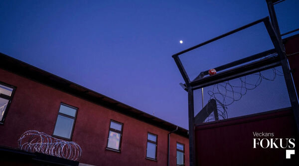    Швеция не справляется с депортацией сотен тысяч нелегалов