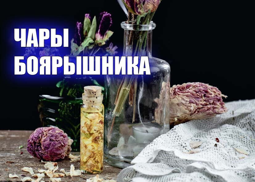 ЧАРЫ БОЯРЫШНИКА