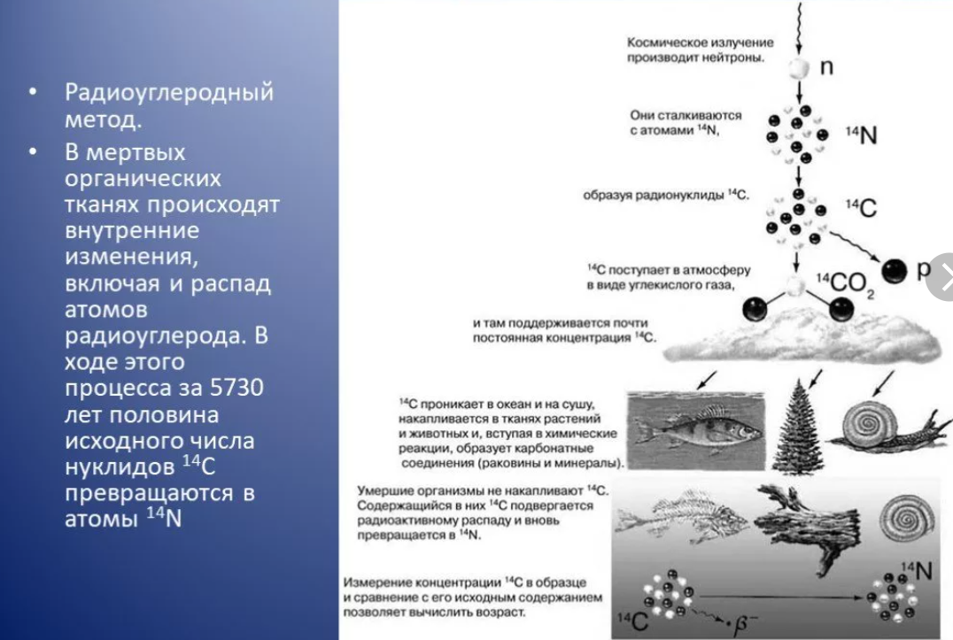 Радиоуглеродный анализ картинки