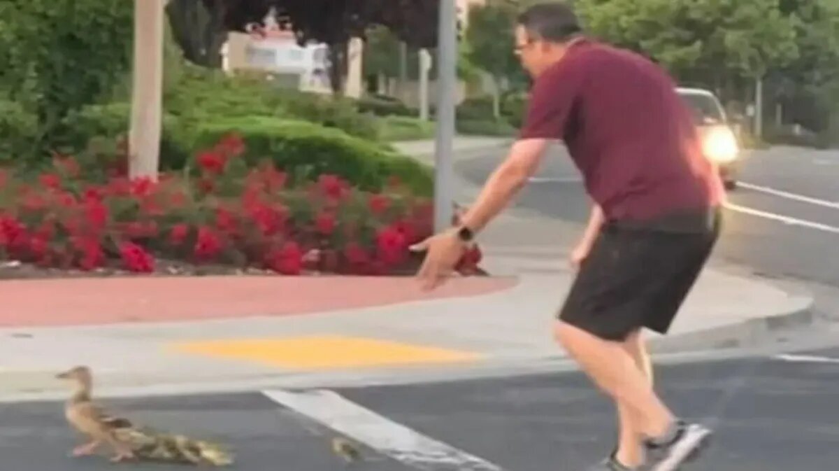 Фото: William Wimsatt / Twitter