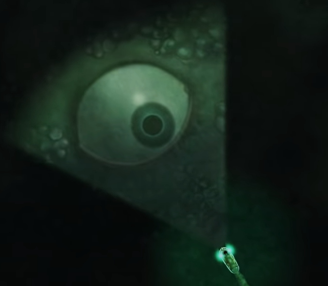 Вас ждут морские приключения и возможность разгадать что скрывают морские глубины.