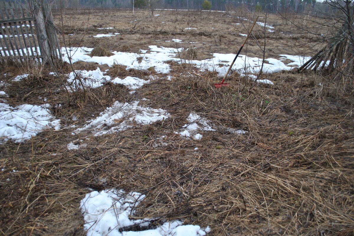 Легко ли поднимать целину в огороде в одиночку? Вывод сделан после двух лет работы на земле.