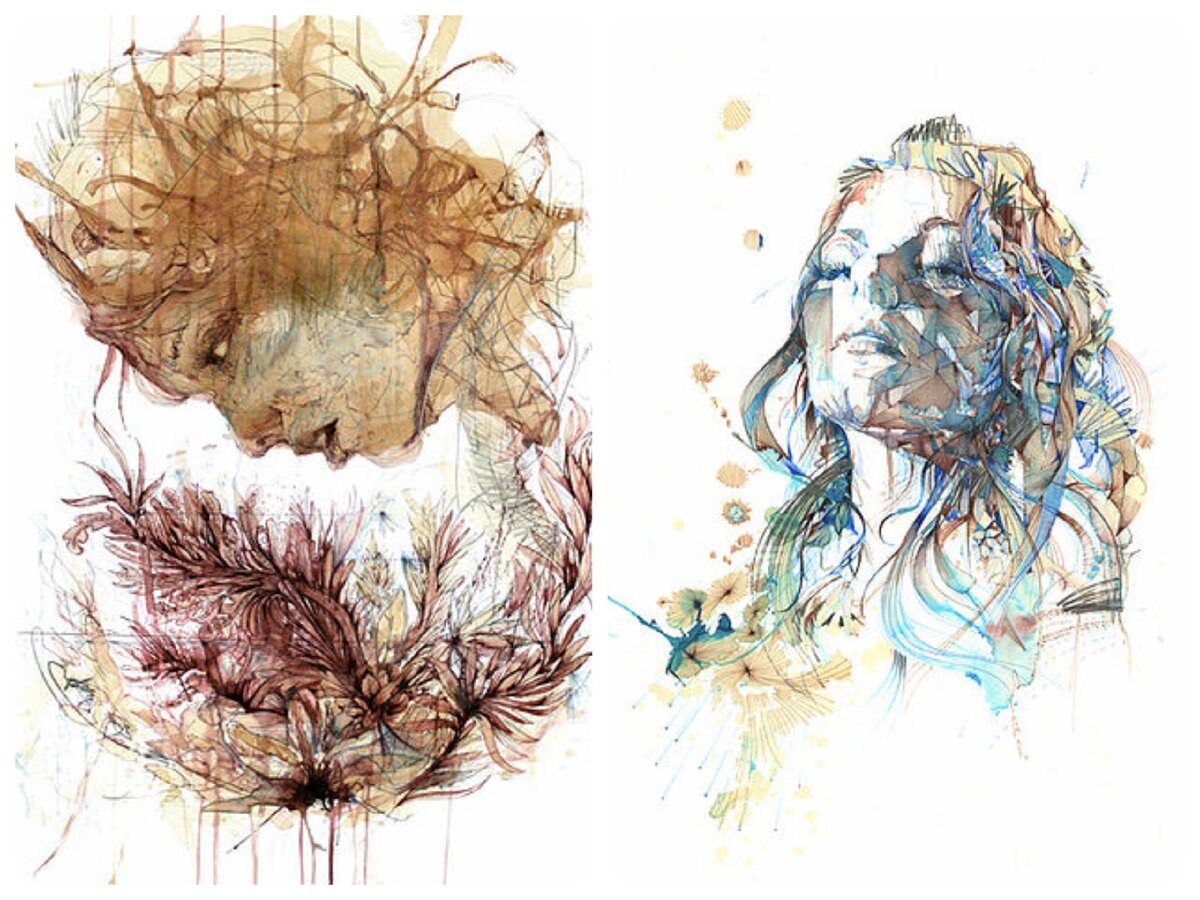 Фото: carnegriffiths.com