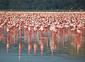 Молодых преподавателей департамент образования направляет на работу в поселение, где нуждаются в таком специалисте. Если выпускнику ВУЗа не нравится направление, то он ожидает другого предложения.  