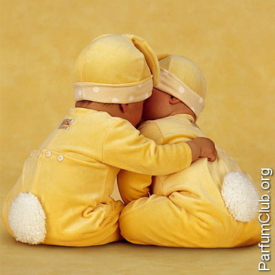 Взято из интернета. 