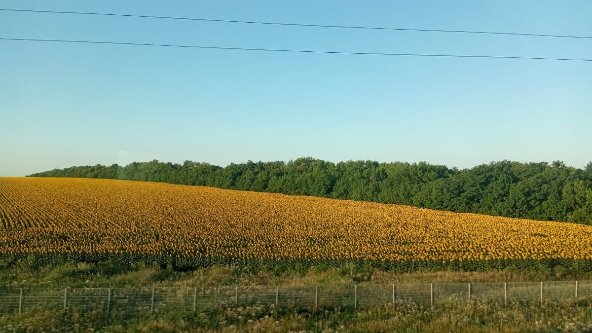 Фото Елены Лабо